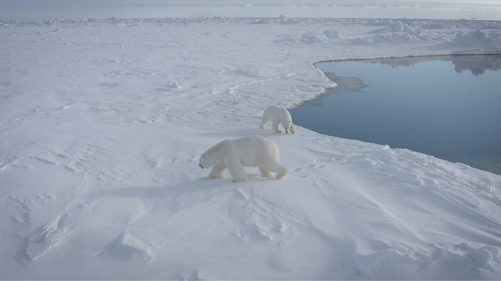 Alternative of the image - view caption below